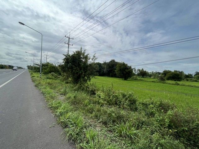 ขายที่ดิน - ขายที่ดินที่นา 3-1-46ไร่ 10ลบ. ไฟฟ้า ประปา ติดถนน4เลน เข้าเมือง 13กม. ต.หนองแก้ว อ.เมือง ศรีสะเกษ