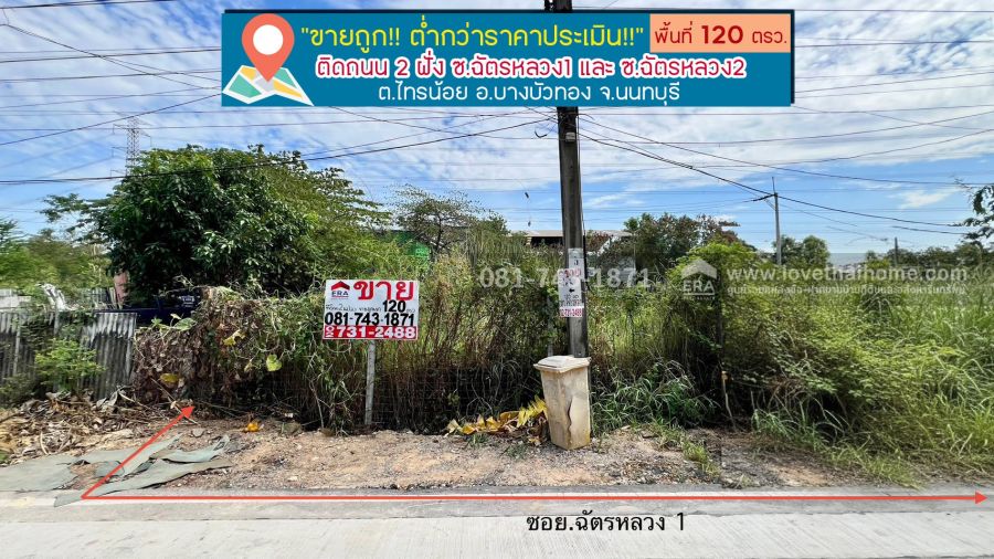 ขายที่ดิน - ขายที่ดินเปล่าไทรน้อย บางบัวทอง พื้นที่ 120 ตรว.หน้าแปลงติดถนนซอยฉัตรหลวง1,ฉัตรหลวง2 ขายแค่ 1 ล้านบาท ต่ำกว่าราคาประเมิน