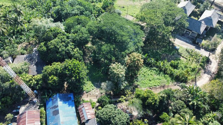 ขายที่ดิน - ขายที่ดินสวยลักษณะเป็นเนินขายสโลปมองเห็นวิวเขาสวยงาม มีต้นไม้ใหญ่ร่มรื่น อยู่ในชุมชนปลอดภัย ในพื้นที่ตำบลแม่แรม อำเภอแม่ริม จังหวัดเชียงใหม่