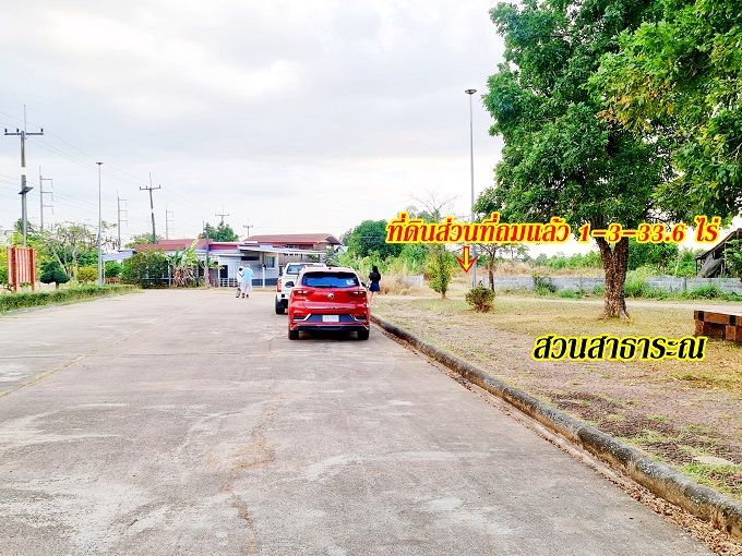 ขายที่ดิน - ที่ดินราคาถูกมาก ทำบ้านสวน.เกษตร ถมไว้บางส่วน ติดถนน 2ด้าน เส้นหลักหนองหาน-อ.บ้านดุง และเส้นรอง ห่างแยกหนองแม็ก 3กม.น้ำ-ไฟพร้อม อยู่ในตัวหมู่บ้าน อุดร