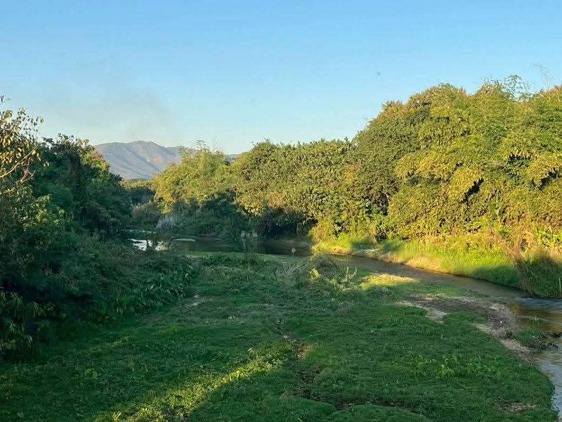 ขายที่ดิน - ขายที่ดินตำบลลวงเหนือดอยสะเก็ตเนินเขาโฉนดพร้อมโอน