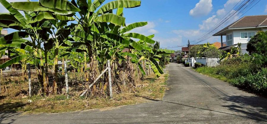 ขายที่ดิน - ขายที่ดินตำบลดอนแก้วแม่ริมแปลงมุมโฉนดพร้อมโอน