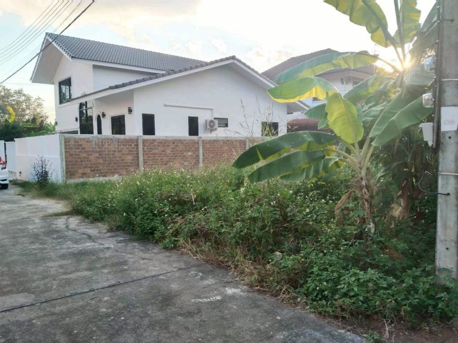 ขายที่ดิน - ขายที่ดินแถวพิมุกข์ 1ตำบลสันทรายสันทรายน้อย