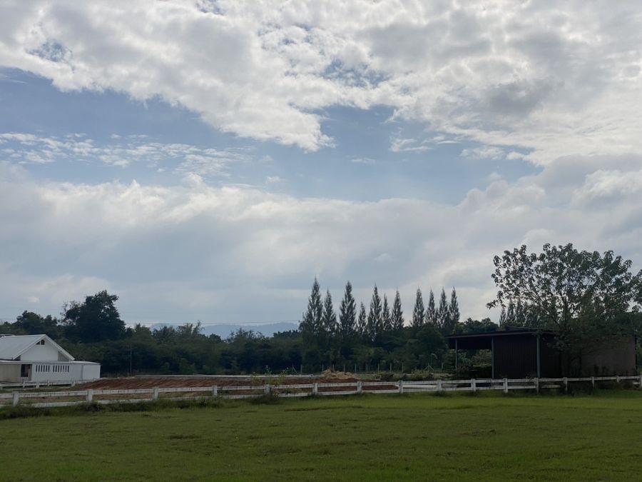 ขายที่ดิน - ขายที่ดินเขาใหญ่ อยู่ในซอยหมู่บ้านสิรารมย์เขาใหญ่