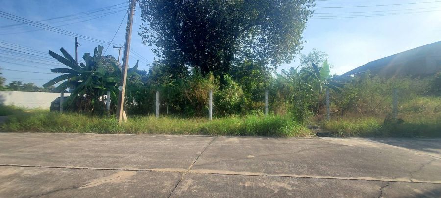 ขายที่ดิน - ขาย ที่ดินเปล่า หมู่บ้านเมืองเอก ที่ดินแปลงใหญ่ ราคาถูก ใกล้ห้างชั้นนำ ย่านรังสิต และรถฟ้าสายสีแดง