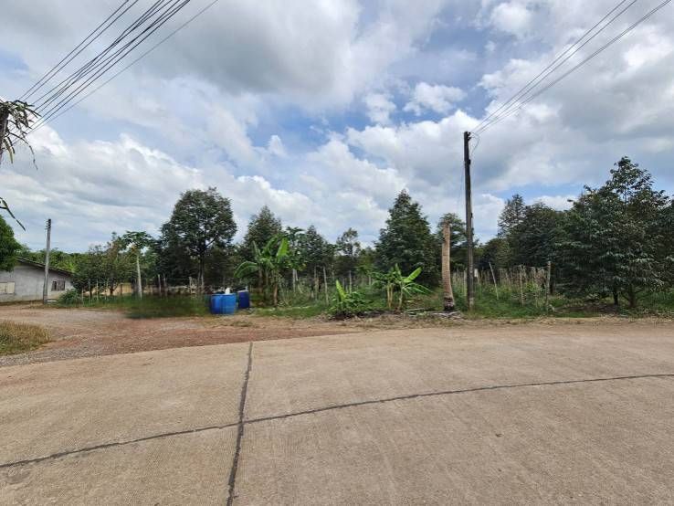 ขายที่ดิน - ขายที่ดินพร้อมสวนผลไม้ 5 ไร่ อำเภอนายายอาม จันทบุรี