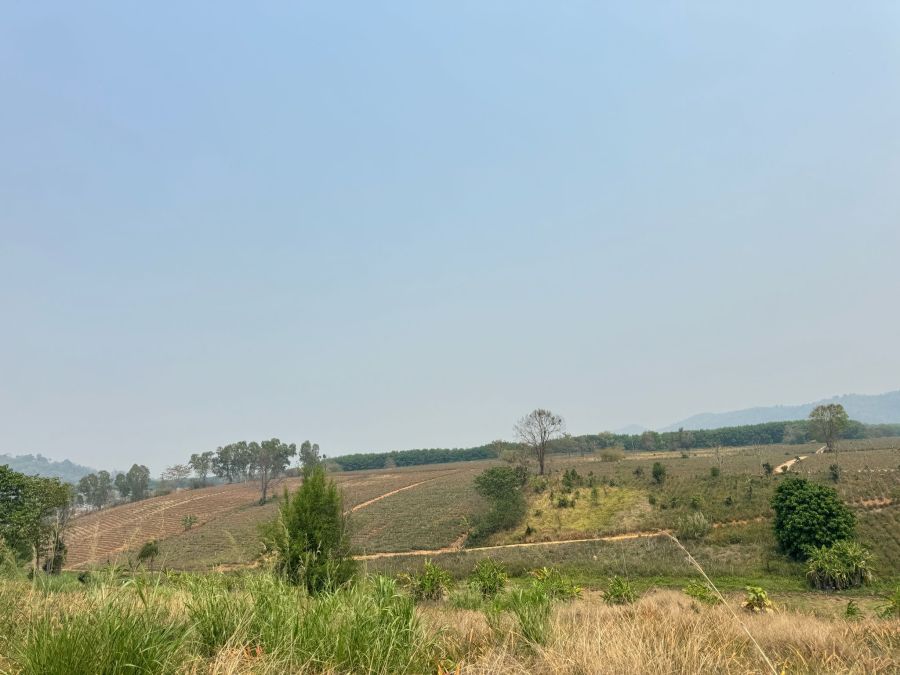 ขายที่ดิน - ขายที่ดินเปล่า ต.ดงมหาวัน จ.เชียงราย ประมาณ 100 ไร่ ทำเลดี วิวสวย อยู่บนเนินเขา เหมาะทำที่พัก สนามกอล์ฟ ฯลฯ