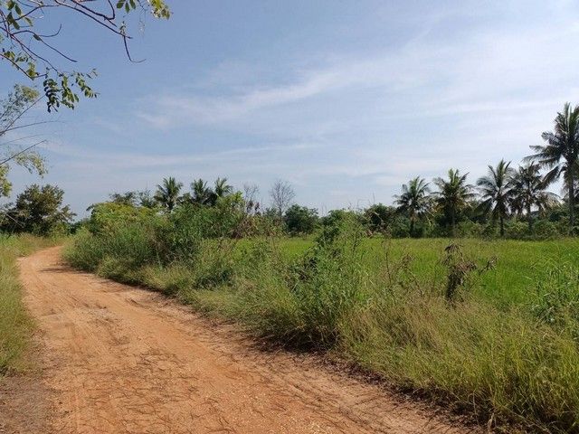 - ขายที่ดินทุ่งนา 4ไร่ 1.6ล้านบาท ถนนดิน ไฟฟ้าประปา 1 กม. ต.บุ่งคล้า อ.เมือง ชัยภูมิ