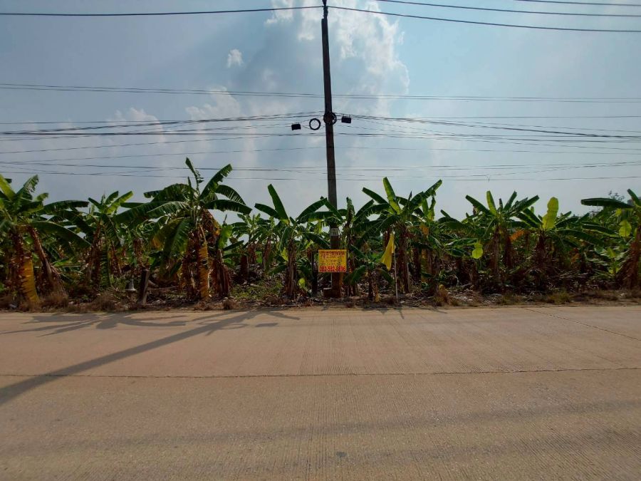 - ขายที่ดินเปล่า ใกล้วัดต้นเชือก บางใหญ่ นนทบุรี