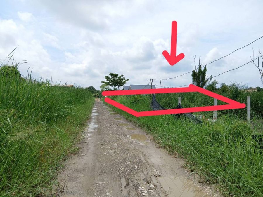 - ขายที่ดิน 160 ตารางวา ซอย เลียบวารี 59 โคกแฝด หนองจอก กรุงเทพมหานคร