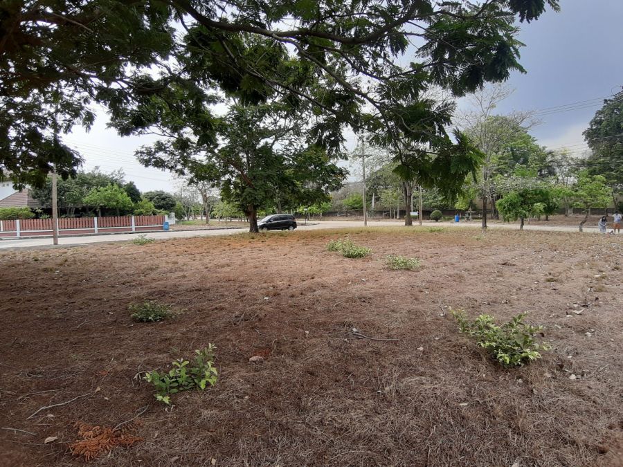 - ขายที่ดินเปล่าเหมาะสำหรับปลูกสร้างบ้าน ในโครงการหมู่บ้านเดอะลากูน1 อำเภอสามโคก จังหวัดปทุมธานี ติดละเลสาป