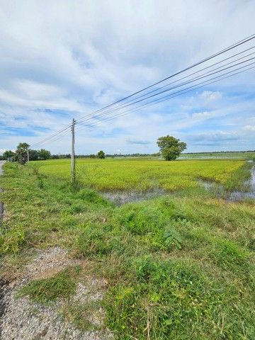 - ขายท่ดินขนาดเนื้อที่ 4 ไร่ 2 งาน 80 ตารางวา ตำบลคันธารราษฎร์ อำเภอกันทรวิชัย มหาสารคาม