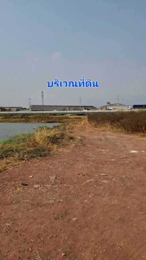 - ขาย ที่ดินจัดสรร 79 ตรว.ใกล้วัดหัวกระบือ, ท่าข้าม, พระราม2,กรุงเทพฯ ใกล้ทางด่วนพระราม