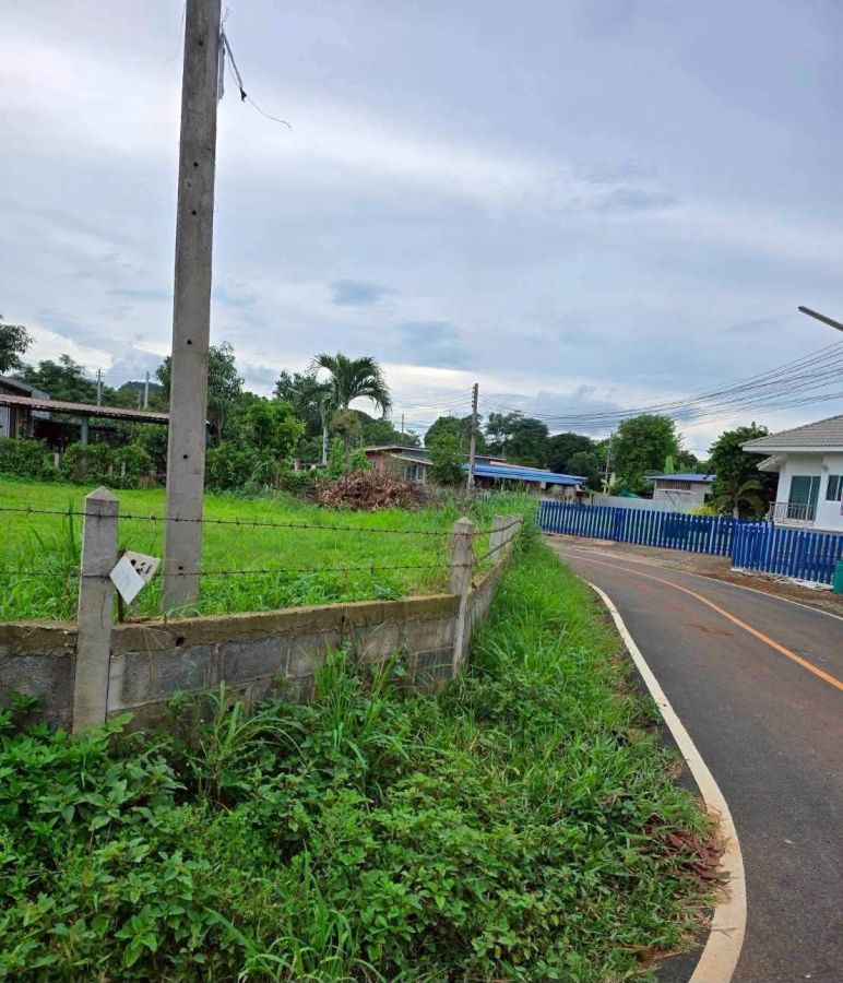 - ที่ดิน เขาใหญ่ ต.หมูสี อ.ปากช่อง โคราช 3แปลง 1ไร่1ตารางวา วิวเขาใหญ่