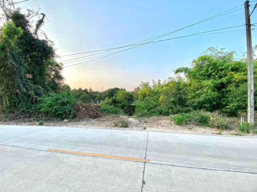 - ขายที่ดินตะพง 1 ไร่ ติดถนนคอนกรีต ใกล้ถนนเส้นสุขุมวิท3-5กม. อ.เมืองระยอง จ.ระยอง