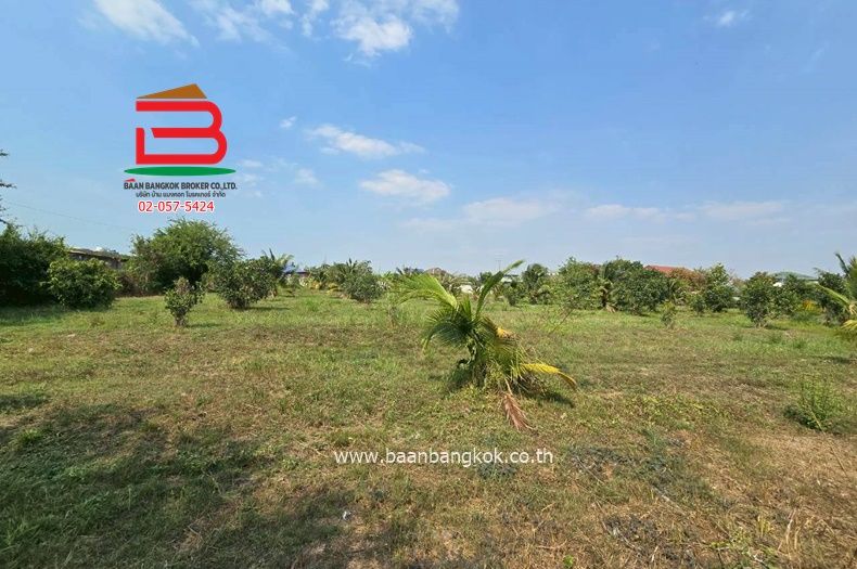 - ที่ดิน นาเกลือ-พัทยา (ใกล้เซ็นทรัลพัทยา) เนื้อที่ 4 ไร่ 3 งาน 73 ตรว. ตำบลนาเกลือ อำเภอบางละมุง จังหวัดพัทยา