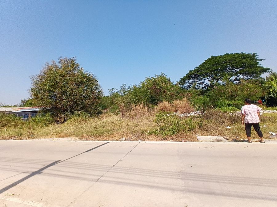 - ขายที่ดิน 200 ตารางวาถมแล้ว ซ.คลองสาม11/9 (นำชัย) ต.คลองสาม อ.คลองหลวง จังหวัดปทุมธานี