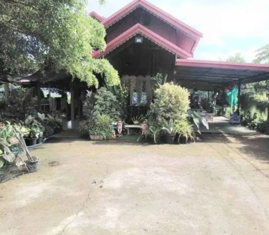 - ขายที่ดินทำเลดี 2 ไร่ 3 งาน เจ้าของขายเอง คลอง13 หนองจอก ฝั่งตะวันออก กทม