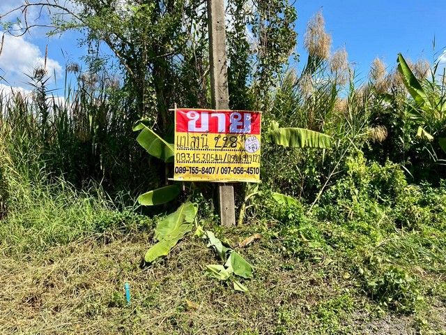 - ขายที่ดินถมแล้ว 228 ตร.วา. วังน้อย อยุธยา ทำเลดีใกล้ถนนพหลโยธินขาเข้ากรุงเทพ ZE604