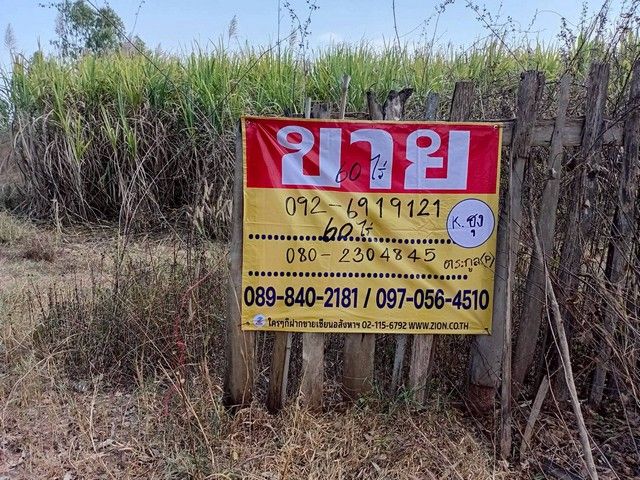 - ขายที่ดินไร่อ้อย 60 ไร่ ดงมะไฟ เมืองสกล เหมาะทำเกษตรกรรม ZE603