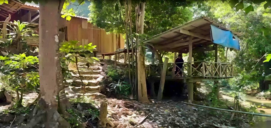 - ขายที่ดินพร้อมบ้านไม้ ท่ามกลางธรรมชาติ รอยต่อ 3 จังหวัด (ลำปาง เชียงราย พะเยา)