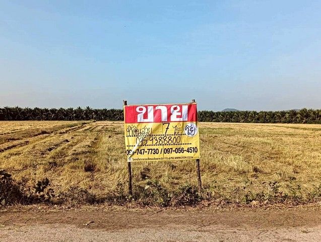 - ขายที่ดิน 7 ไร่ อยู่ในซอยตรงข้ามวัดแคทราย ใกล้ถนนเพชรเกษม สี่แยกห้วยชินสีห์ เมืองราชบุรี ZW648