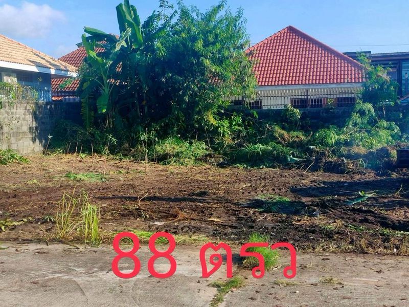 - ขายที่ดินเปล่าแปลงสวย แหล่งชุมชน ซอยทุ่งกลม-ตาลหมัน พัทยา