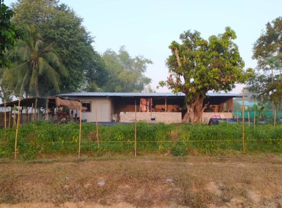 - ขายที่ดินแปลงใหญ่ 33 ไร่ ใกล้แม่น้ำโขง อ.ศรีเชียงใหม่ จ.หนองคาย