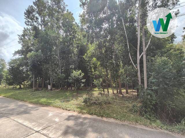 - ขายที่ดิน ใกล้มหาวิทยาลัยทักษินวิทยาเขตพัทลุงปลุกสร้างหอพักนักศึกษา