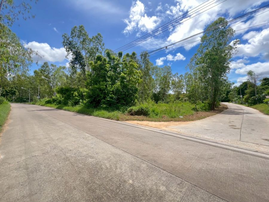 - ขายที่ดินห้วยใหญ่ พัทยา เหมาะสำหรับลงทุน