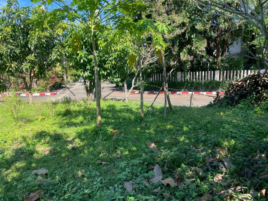 - ขายที่ดินเปล่า โครงการเวิลด์คลับแลนด์ เชียงใหม่ (หางดง)