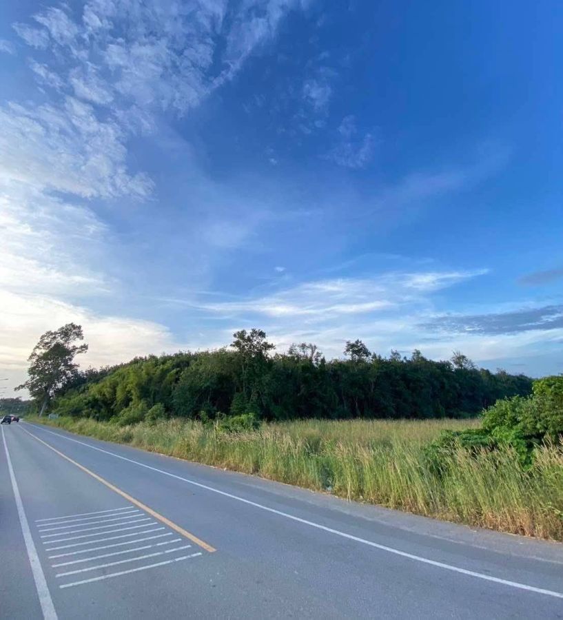 - ขายที่ดินใกล้นิคมเกตเวย์ แปลงยาว ฉะเชิงเทรา 23-1-71ไร่ สีม่วงลาย เหมาะทำ โรงงาน โกดัง คลังสินค้า บ้านจัดสรร