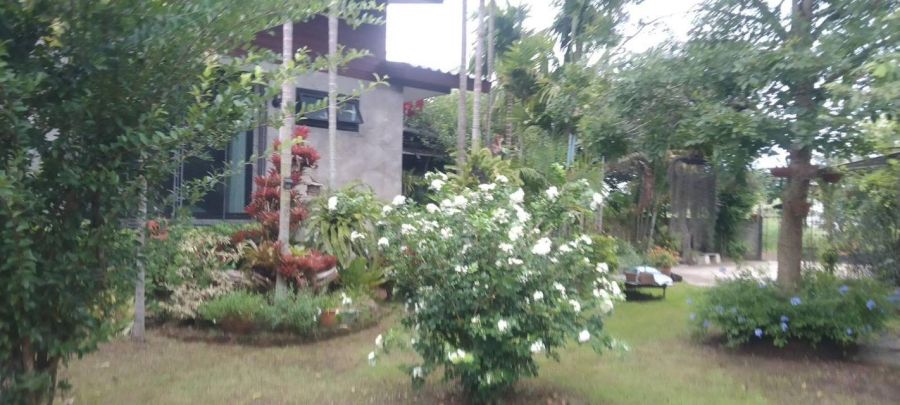 - ขายบ้าน สวน ใน บ้านทรายทอง ตำบลเสด็จ เมืองลำปาง