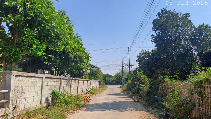 - ขายสวนลำไยราคาถูก มีโฉนดเกือบ 7 ไร่ ขายยกแปลงเพียง 1.9 ล้านบาทรวมโอน