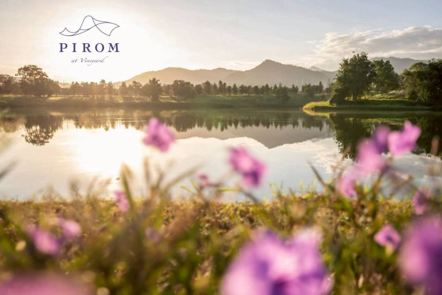 - โครงการ Pirom At Vineyard เขาใหญ่ ภิรมย์ แอท วินยาร์ด