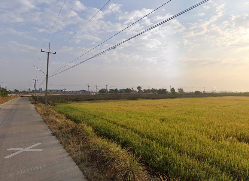 - ขายที่ดินบางเตยสีม่วงลาย 8 ไร่ ติดถนนลาดยาง ใกล้ถนนสุวินทวงศ์ 304 2.5 กม. เมือง ฉะเชิงเทรา