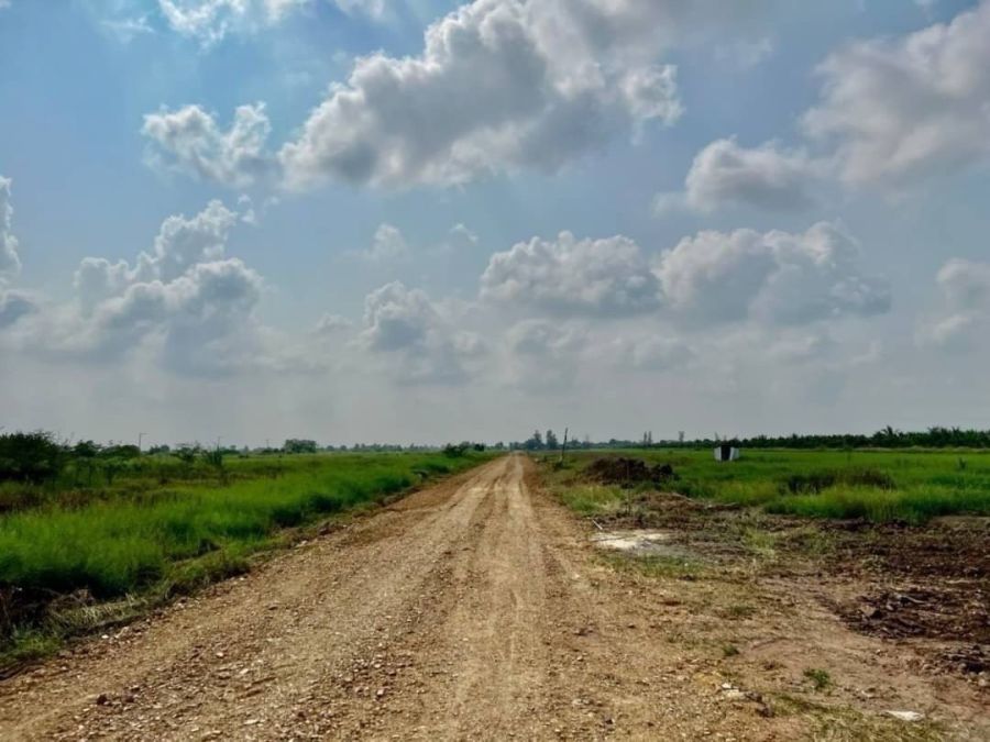 - ด่วนๆที่ดินเงินผ่อนมาแล้วคลองเก้า อ.หนองเสือ จ.ปทุมธานี ผ่อนเพียงเดือนละ 8,000 บาท/เดือน