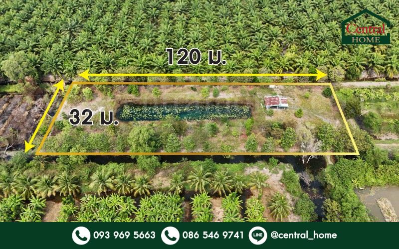 - ที่ดินเปล่า 2-1-60 ไร่ คลอง 12 หนองเสือ ปทุมธานี