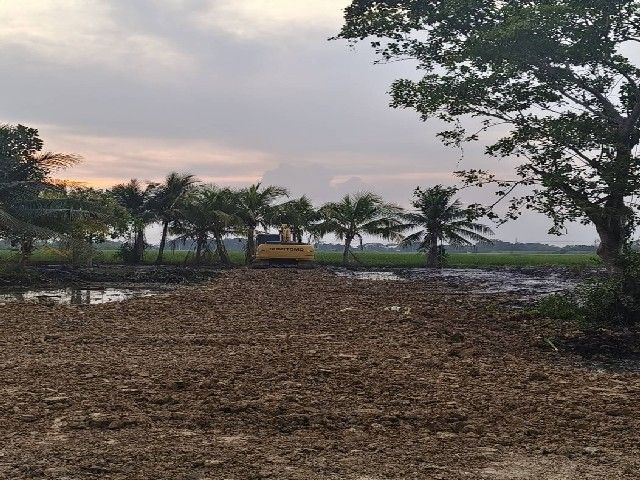 - ขายที่ดิน เนื้อที่ 2 ไร่ สวนเกษรถูกมาก รูปทรงที่ดินสวย คลองสิบสอง หนองจอก