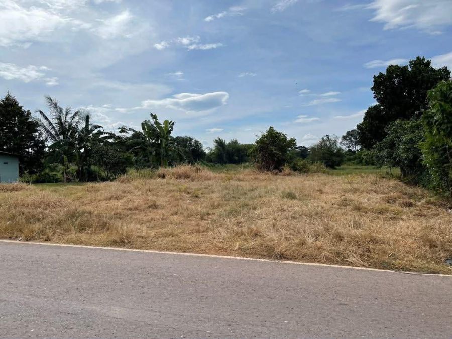 - ขายที่ดินโพธิ์งาม 113 ตรว. ถมแล้วติดถนนลาดยาง ใกล้ตลาดปิงพลาซ่า-2กม. อ.ประจันตคาม จ.ปราจีนบุรี