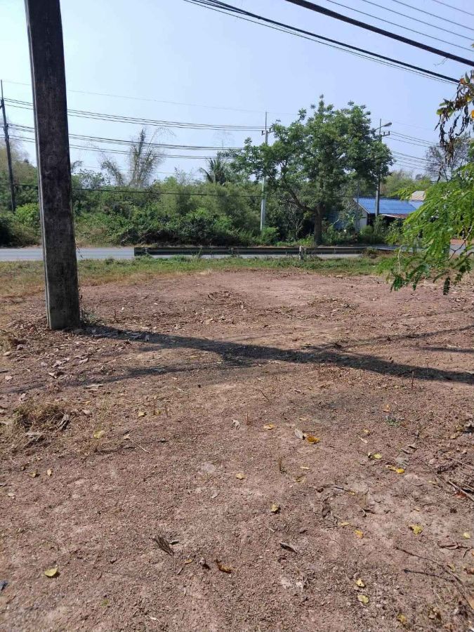 - ขายที่ดินโพธิ์งาม 200 ตรว. ติดถนนเส้นสุวรรณศร3649สายเก่า ใกล้เทศบาลบ้านโพธิ์-3กม. อ.ประจันตคาม ปราจีนบุรี