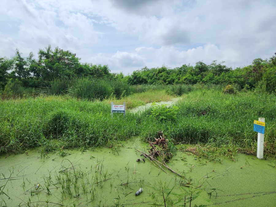 - ขายที่ดินสวย 1 ไร่เศษ ซอยกำนันสมจิตร บางบัวทอง ทำเลดีใกล้มอเตอร์เวย์ และเซ็นทรัลเวสต์เกต เพียง 7 กม. ราคาสุดคุ้ม!