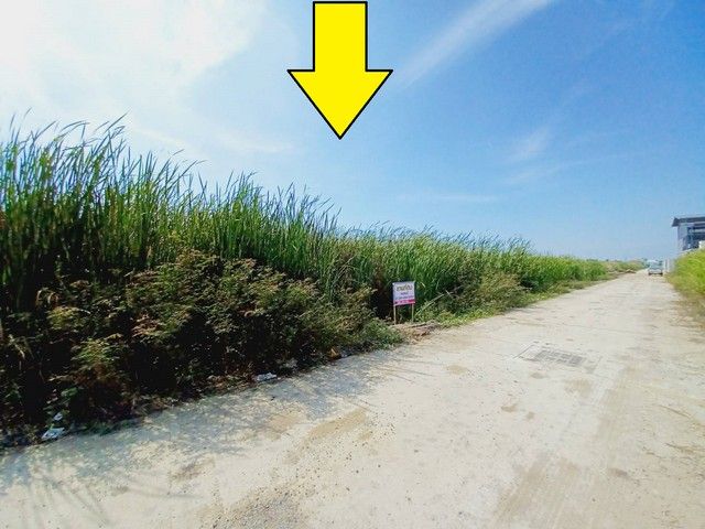 - ขายที่ดินลำลูกกาคลอง4 ถนน ไสวประชาราษฏร์ 1 ไร่ ติดถนน 2 ด้าน เหมาะทำโกดัง ปลูกบ้าน ทำเลดี ใกล้แหล่งชุมชน