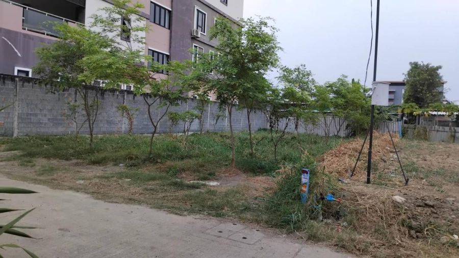 - ขายที่ดิน แบริ่ง 100 ตรว สุขุมวิท107 ทำเลดีมาก ใกล้ BTS แบริ่ง