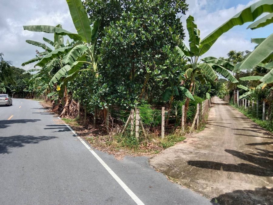 - แบ่งขายที่ดินโฉนดเนื้อที่ประมาณ 1 ไร่ เป็นสวนขนุน