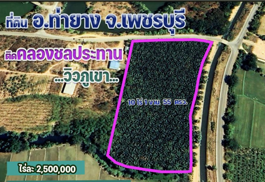 - ขายที่ดิน 10 ไร่ ติดคลองชลประทาน วิวภูเขา อ.ท่ายาง เพชรบุรี