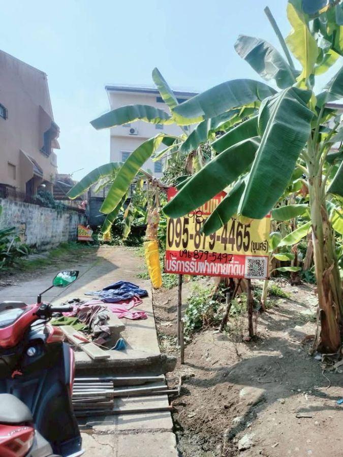 - ขายด่วน !! ที่ดิน 98 ตารางวา ติดถนนคอนกรีต ไทรน้อย15/2 นนทบุรี