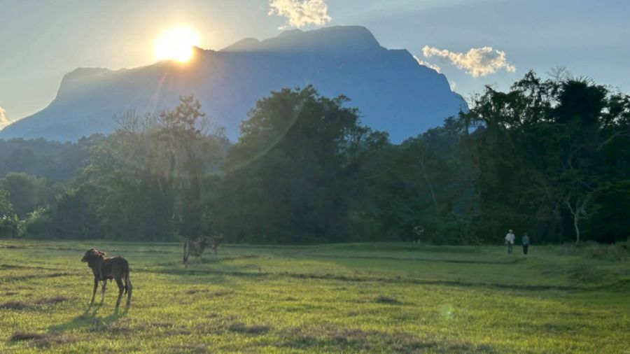 - ขายที่ดินติดลำธารน้ำวิวดอยหลวงโฉนดพร้อมโอนน่าลงทุน