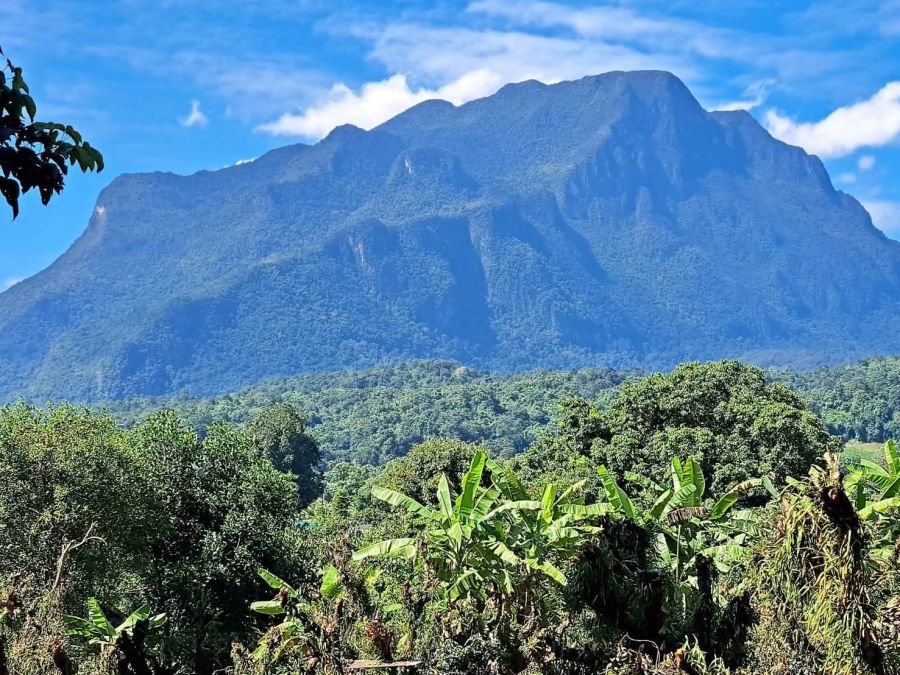 - ขายที่สวนลำใยติดวิวดอยหลวงเชียงดาวโฉนดพร้อมโอน