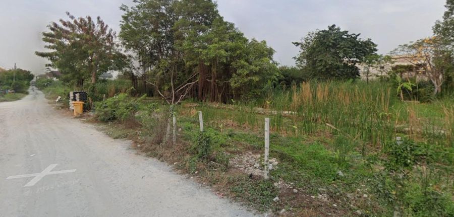 - ขายที่ดินเปล่า ซอยวัดลาดปลากดุก 310 ตารางวา